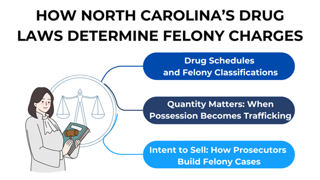 A woman holds law books. Text explains drug schedules, trafficking thresholds, and intent to sell in felony drug cases.
