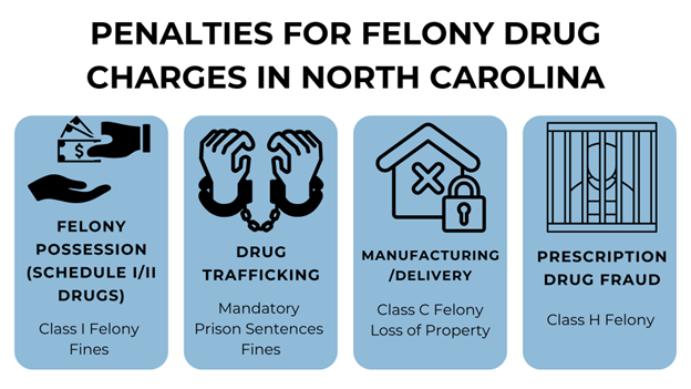 Icons show penalties for felony drug possession, trafficking, manufacturing, and prescription fraud.