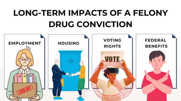 Icons illustrate impacts of a drug conviction on employment, housing, voting rights, and federal benefits.