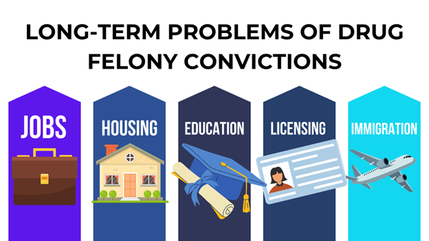 Drug felony convictions impact jobs, housing, education, licensing, and immigration, shown with icons for each challenge.