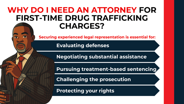 Cartoon attorney pointing beside list of reasons: evaluating defenses, negotiating assistance, treatment options, challenging prosecution, protecting rights.