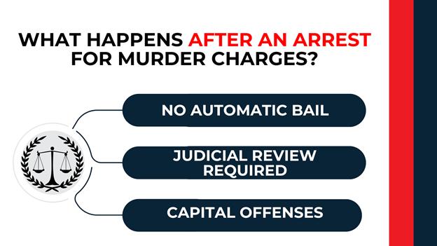 Scales of justice icon with three dark blue bars listing no automatic bail, judicial review, and capital offenses.