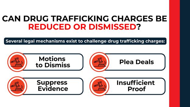 An outline of legal strategies to reduce or dismiss drug trafficking charges, including motions to dismiss, plea deals, suppression of evidence, and lack of proof, with red gavel icons and bold section dividers.