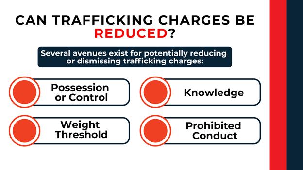 Four outlined circles connected to labels reading possession or control, knowledge, weight threshold, and prohibited conduct, representing ways to reduce or dismiss charges.