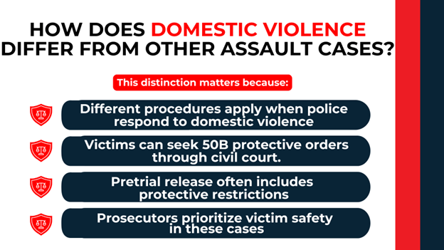 Icons and text listing key distinctions—civil protective orders, pretrial restrictions, and victim safety focus.