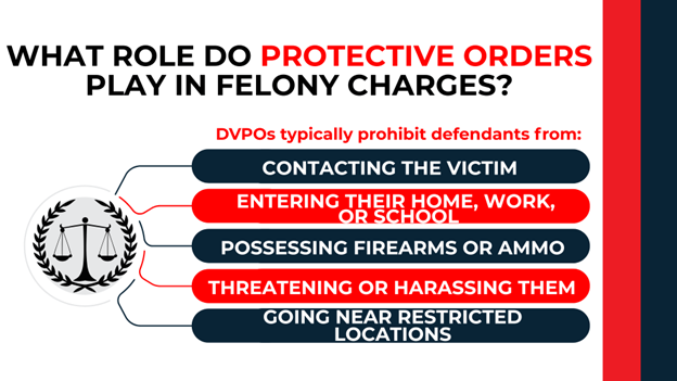 Scales icon with list; explains DV protective orders restrict contact, weapons, and victim proximity.