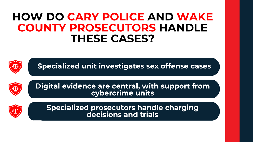 Shield icons and text outline specialized police units, digital evidence focus, and prosecutor-led charging decisions.