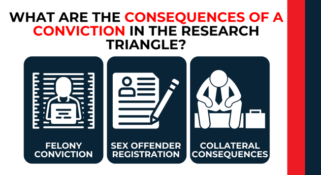 Icons for felony conviction, sex offender registration, and collateral consequences; summary of penalties.