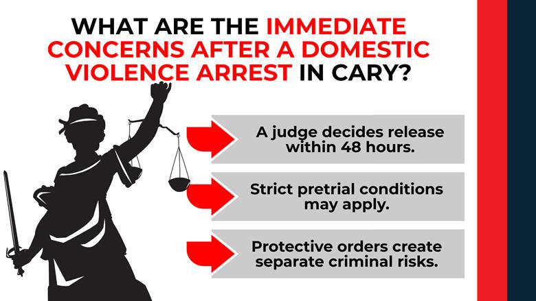 Lady Justice silhouette with arrow callouts; highlights 48-hour release decision, strict pretrial terms, and protective-order risks.