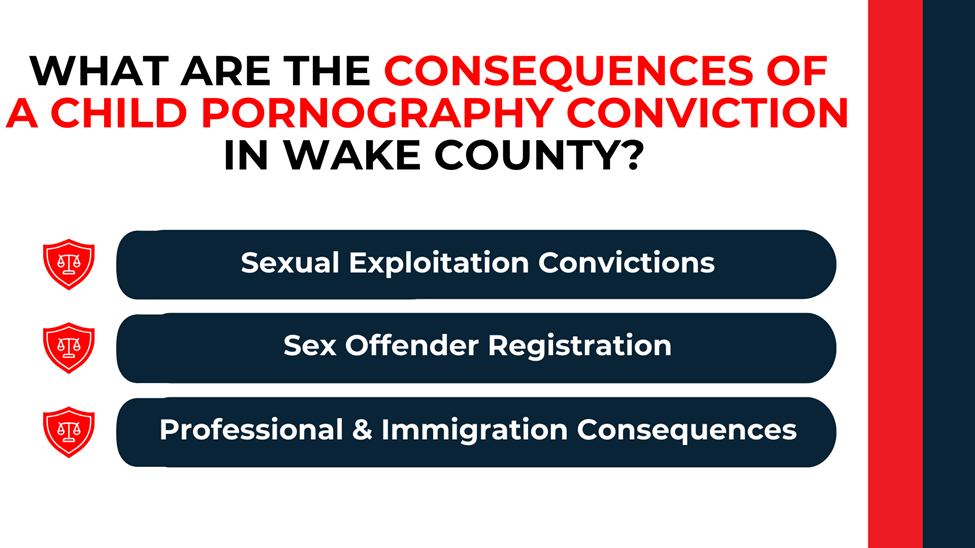 Three horizontal bars with shield icons listing consequences: exploitation convictions, sex offender registration, professional/immigration impacts.