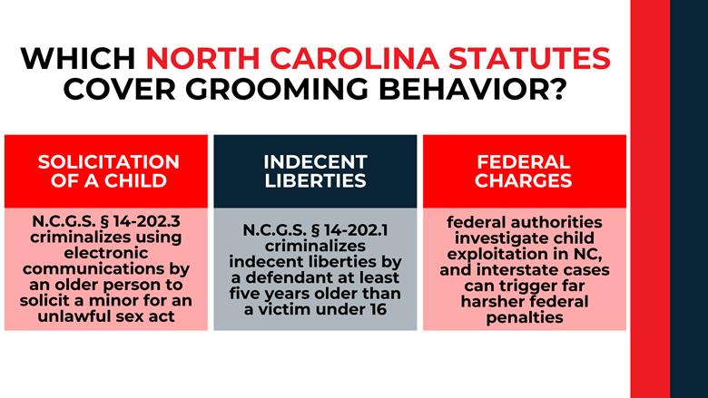 Three-column layout summarizing solicitation, indecent liberties, and potential federal charges with statute references.