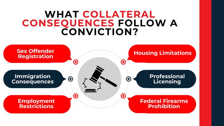 Central gavel surrounded by callouts listing registration, housing limits, employment barriers, and firearm restrictions.