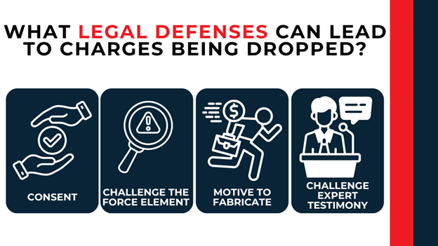 Four icons showing consent, force element challenges, fabrication motive, and expert testimony disputes