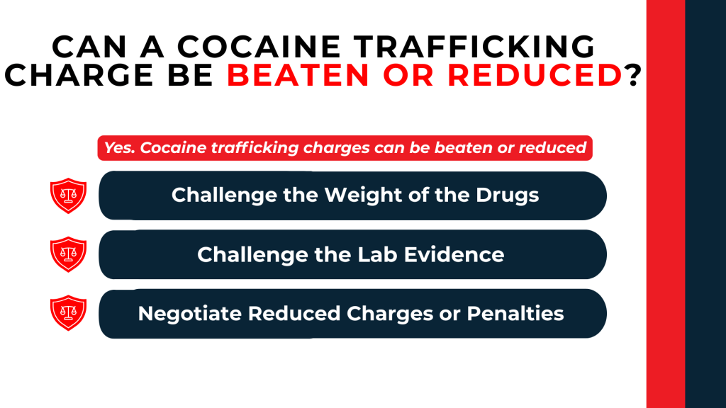 Shield icons outline defenses including challenging drug weight, lab evidence, and negotiating reduced charges.